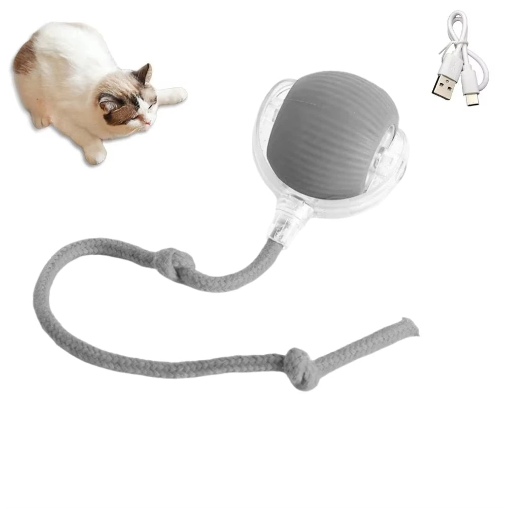 Cat Interactive Ball Toys Automatic Rolling Ball Faux Tail