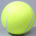 9.5'Giant Tennis Ball for Dog Chew Toy Big Inflatable Tennis Ball