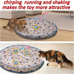 Smart Interactive Cat Toys Ball Fast Rolling in Pouch Hide and