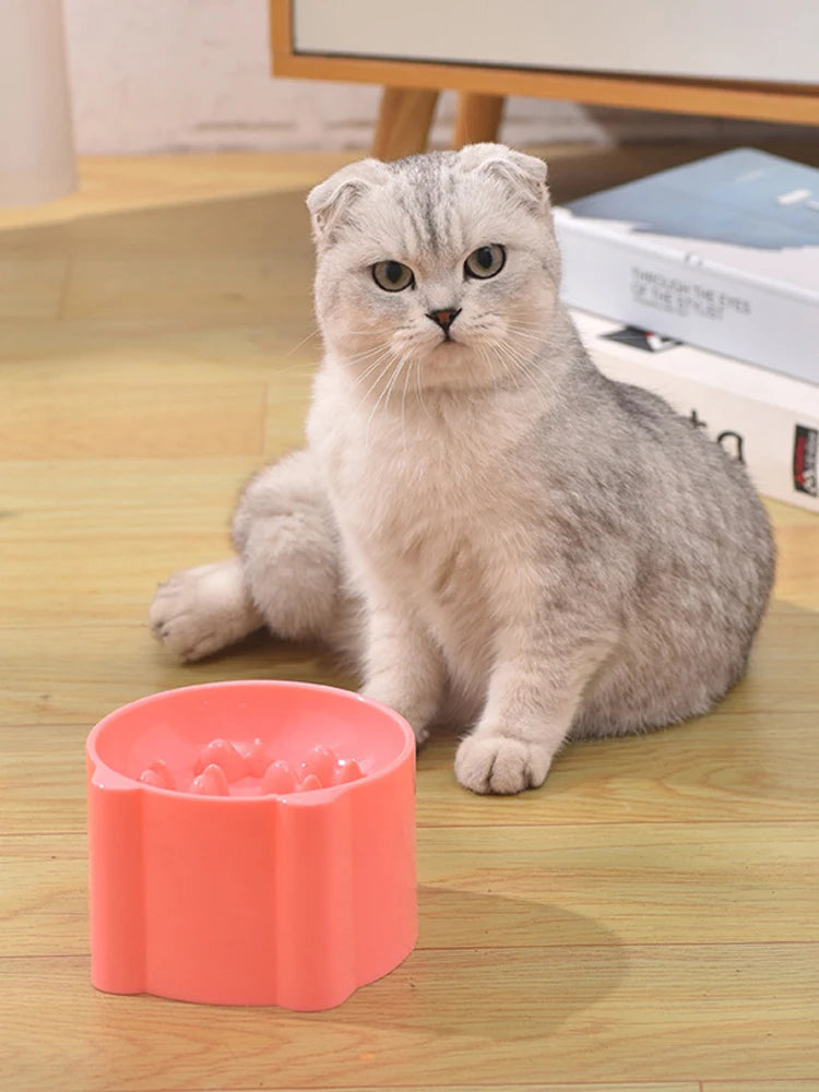 Small Cat and Dog Slow Feeding Anti-Choking Bowl with Neck