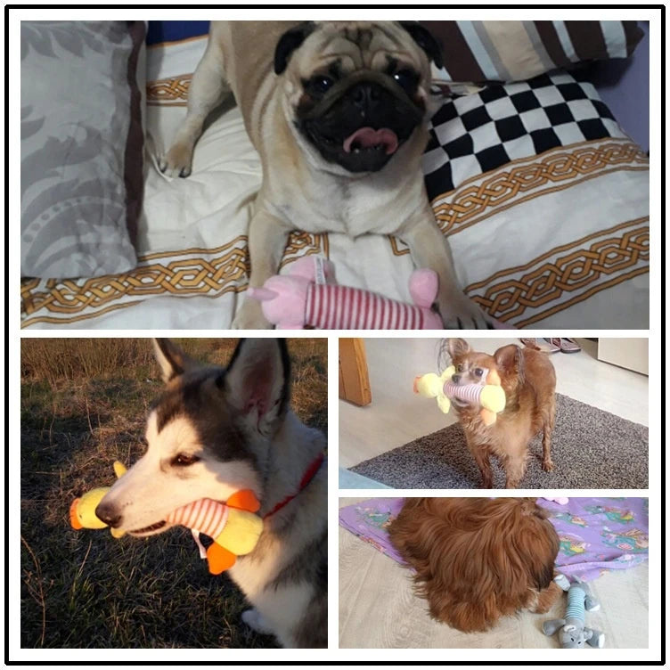 Striped Elephant, Duck, Pig Dog Chewing Toys