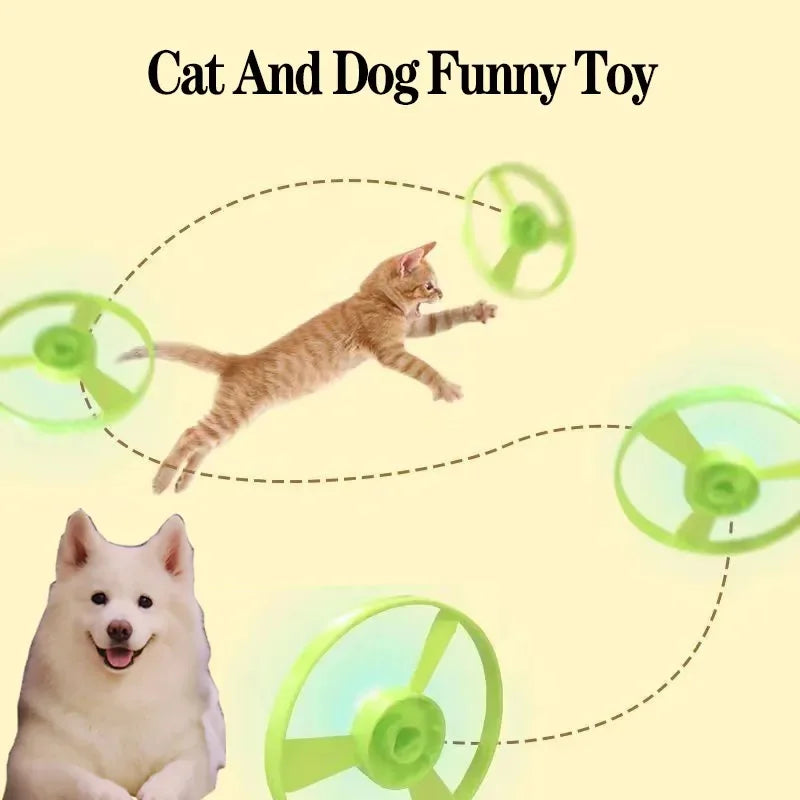 Interactive Cat Toy for Kitten