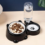 Pet Bowl 2-in-1 Auto Water Feeder, Tilted Elevated Cat Dog Bowl