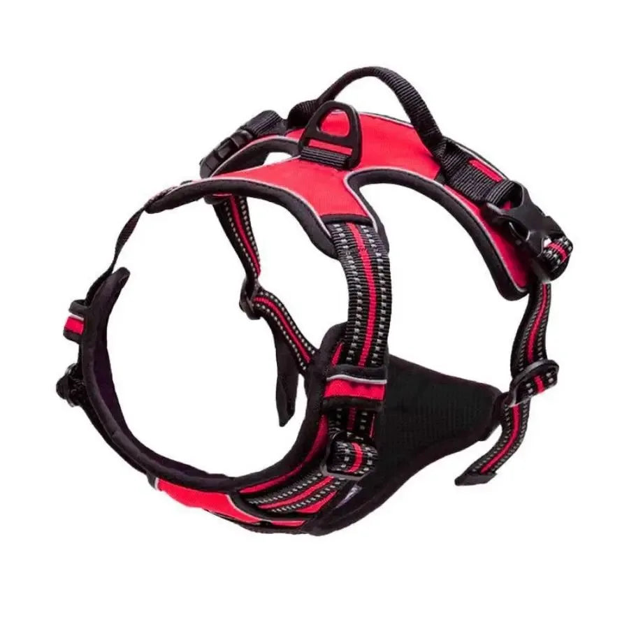 Dog Collars Harness Big Vests Leash Pet Shop Everything For Dogs