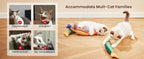 Cat Toys Fish,Teeth Grinding Catnip Toys,Soft and Durable,Kitten
