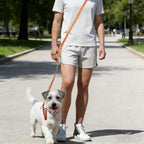 Reflective Hands-Free Running Dog Leash