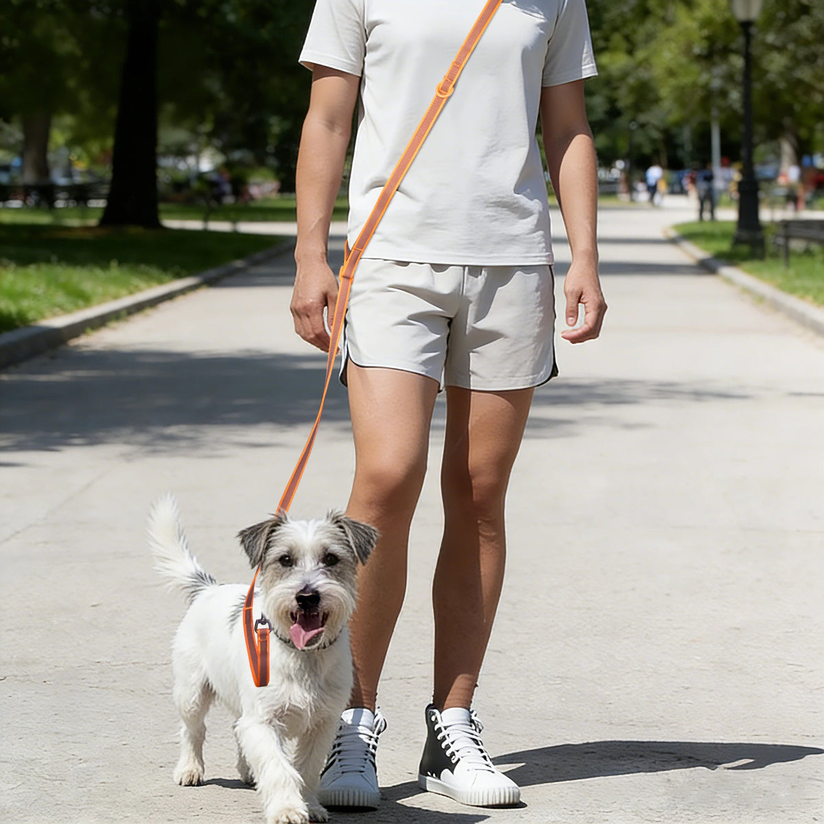 Reflective Hands-Free Running Dog Leash