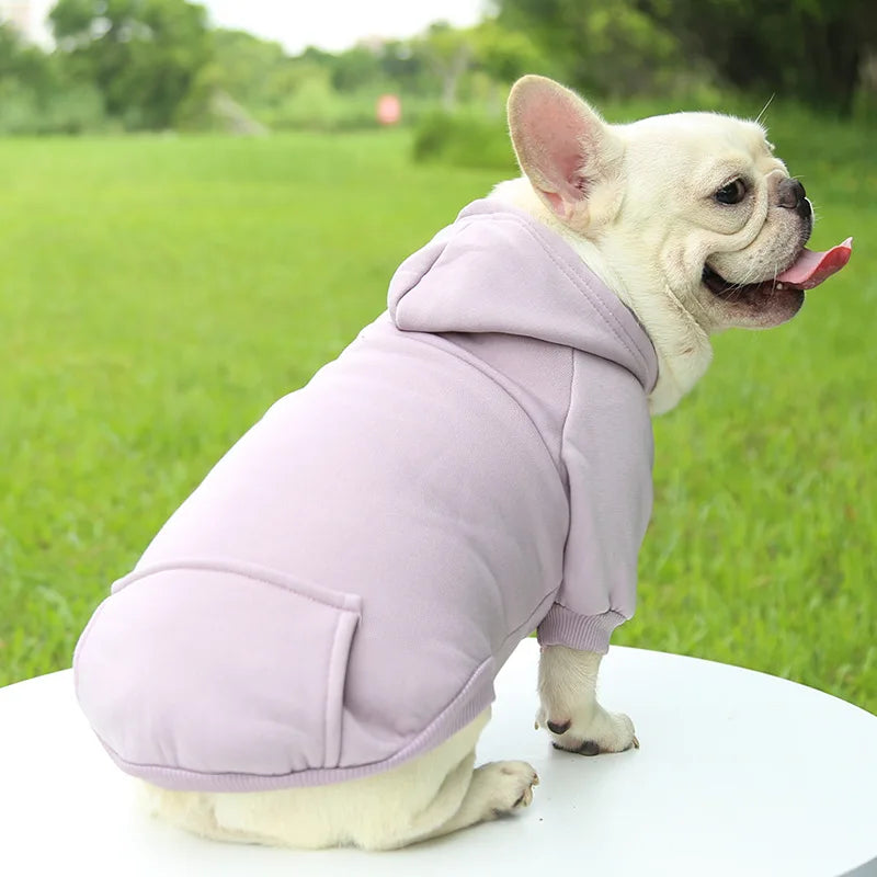 Autumn Winter Pet Dog Hoodies Warm Coat Sweater Small Medium Dog