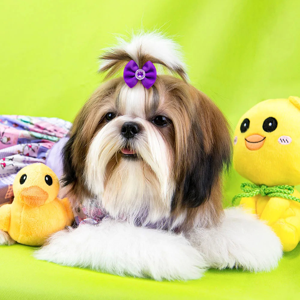 Dog Grooming Hair Bows Dog Bows Mix Colours Small