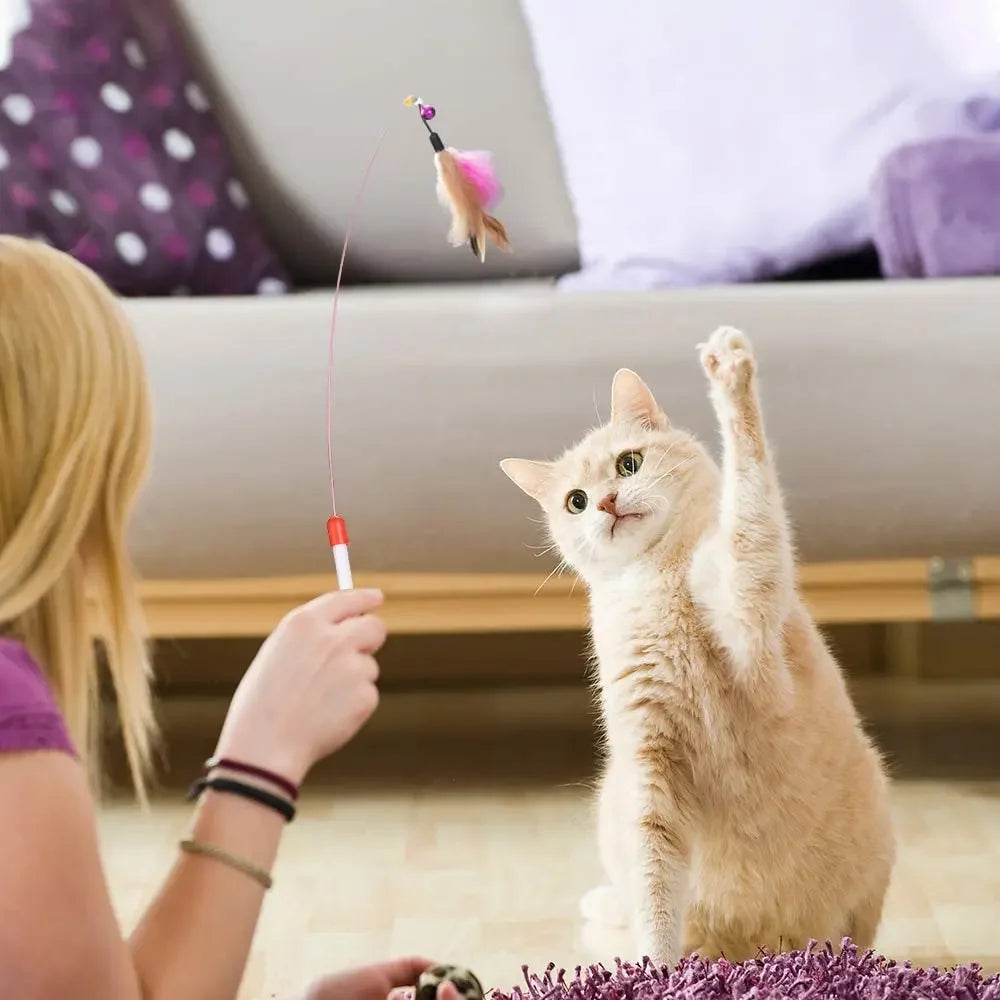 Cat Toy Variety Pack - Funny Sisal Mouse & Ball