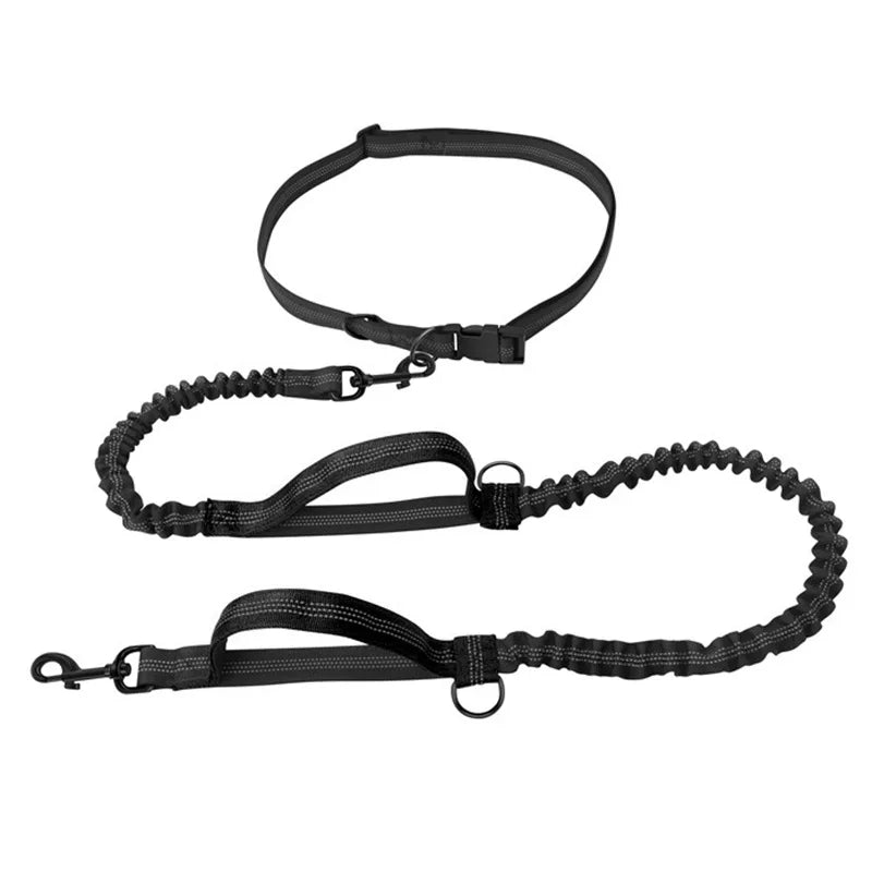 Adjustable Hands-Free Bungee Dog Leash
