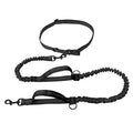 Adjustable Hands-Free Bungee Dog Leash