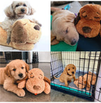 Plush Heartbeat Puppy Behavioral Training Toy Plush Pet Snuggle