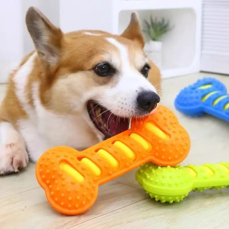 Rubber Dog Chew Toy with Squeaker
