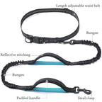 Adjustable Hands-Free Bungee Dog Leash