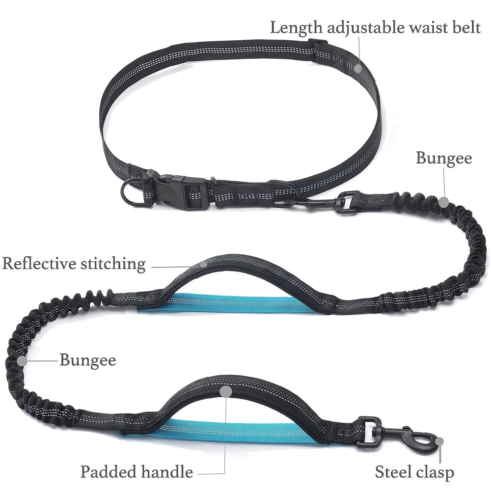 Adjustable Hands-Free Bungee Dog Leash