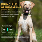 Dog Auto Anti-Bark Collar USB Rechargeable Training Collars Safety