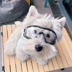 Transparent Color Pet Dog Goggles Waterproof Windproof Sunscreen