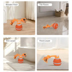 Pet Ball Interactive Toys for Dogs Motion Activate Rolling Ball