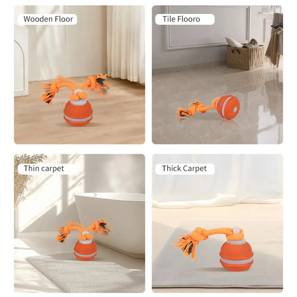 Pet Ball Interactive Toys for Dogs Motion Activate Rolling Ball