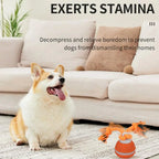 Pet Ball Interactive Toys for Dogs Motion Activate Rolling Ball