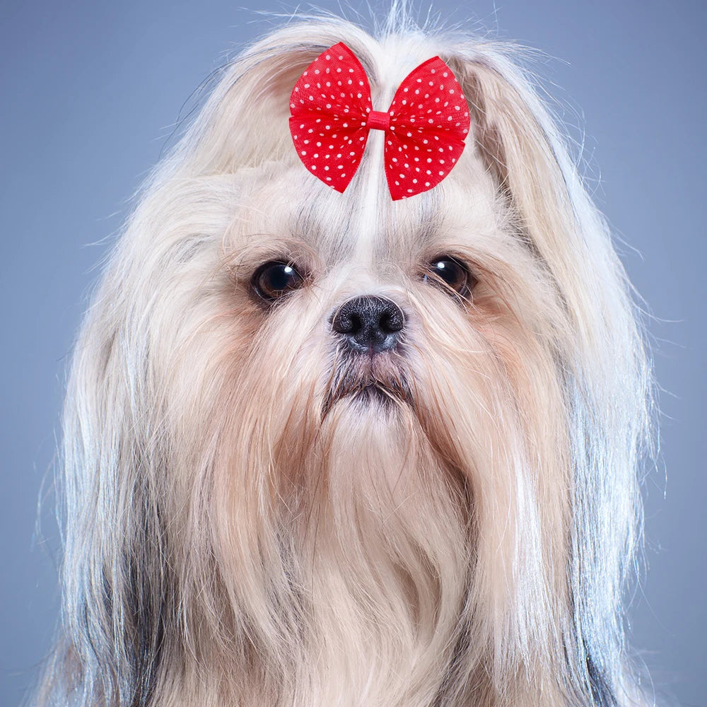 Lace Dogs Hair Bows with Dotted Dog Hair Rubber Bands Colorful