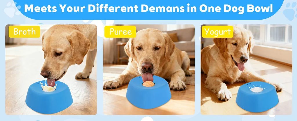 Anti-Choking Slow Feeder Dog Bowl Non-Slip 3/4 Cup - Lick Toy for