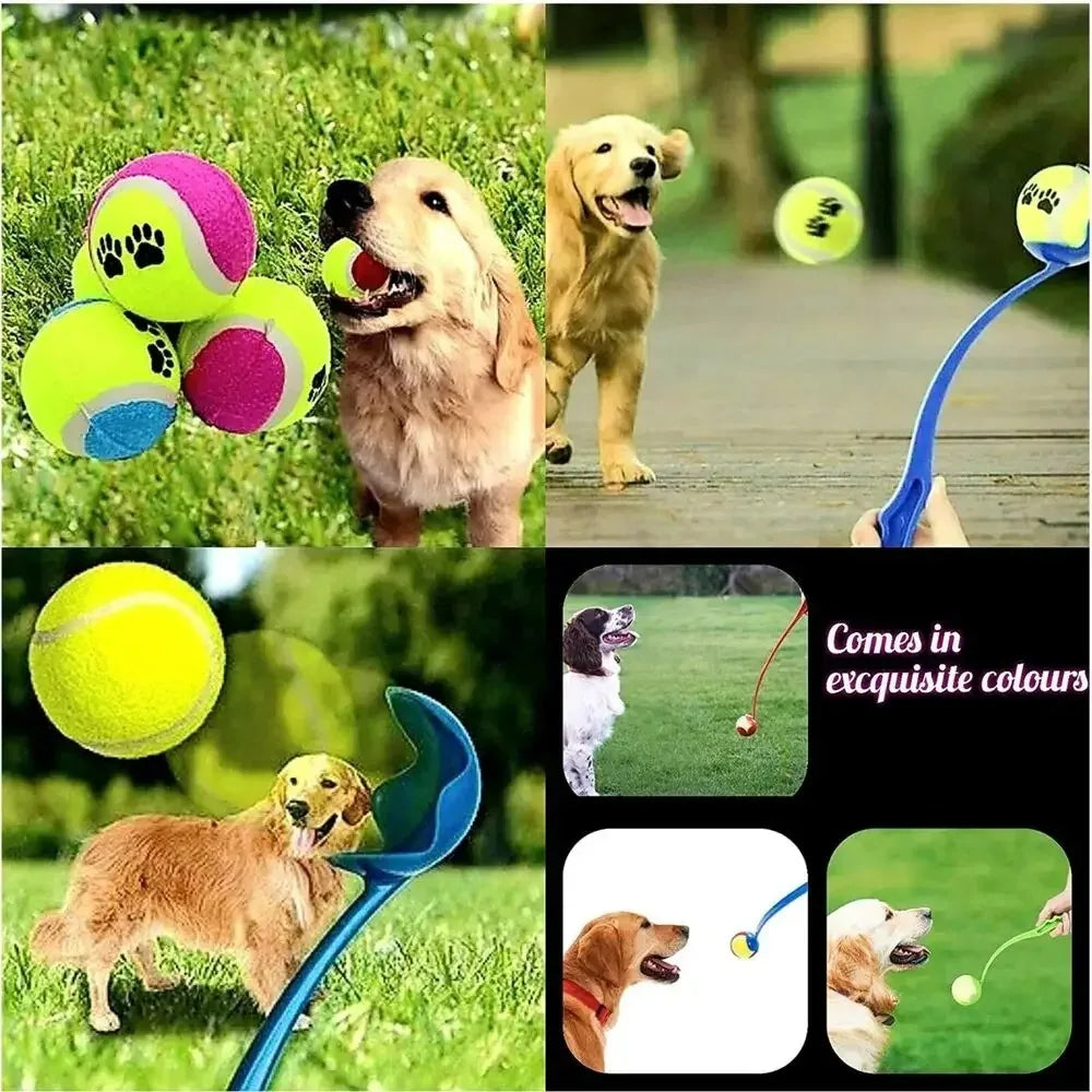Pet Tennis Ball Launcher Set Outdoor Dog Training Toy Fetch Play