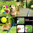 Pet Tennis Ball Launcher Set Outdoor Dog Training Toy Fetch Play