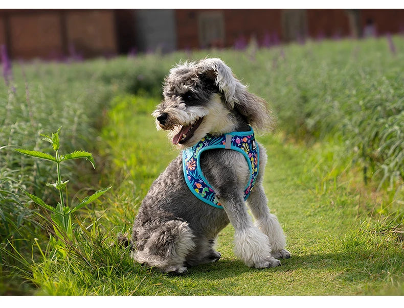Truelove Pet Harness Soft Air Mesh Adjustable Reflective Pet Vest