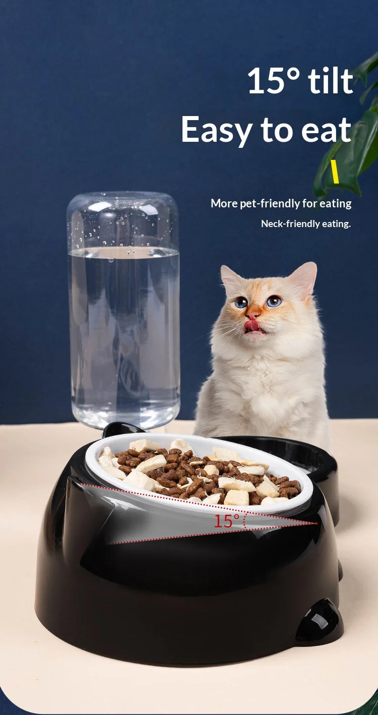 Pet Bowl 2-in-1 Auto Water Feeder, Tilted Elevated Cat Dog Bowl