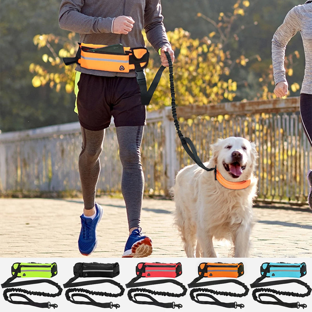 Adjustable Hands-Free Bungee Dog Leash