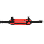 Adjustable Hands-Free Bungee Dog Leash