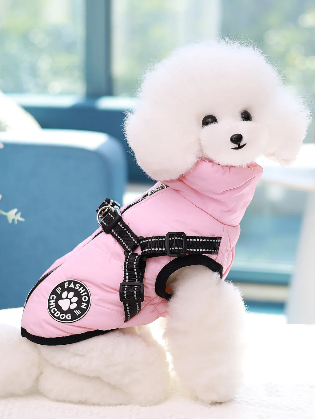 Comes with a Traction Ring, Pet Coat, Jacket, Three-Layer Thick
