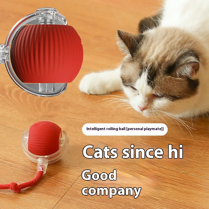 New Electric Cat Ball Toys Automatic Rolling Ball with Teaser Bird