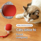 New Electric Cat Ball Toys Automatic Rolling Ball with Teaser Bird