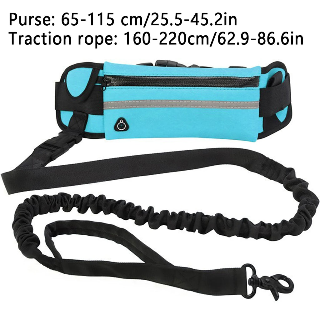 Adjustable Hands-Free Bungee Dog Leash