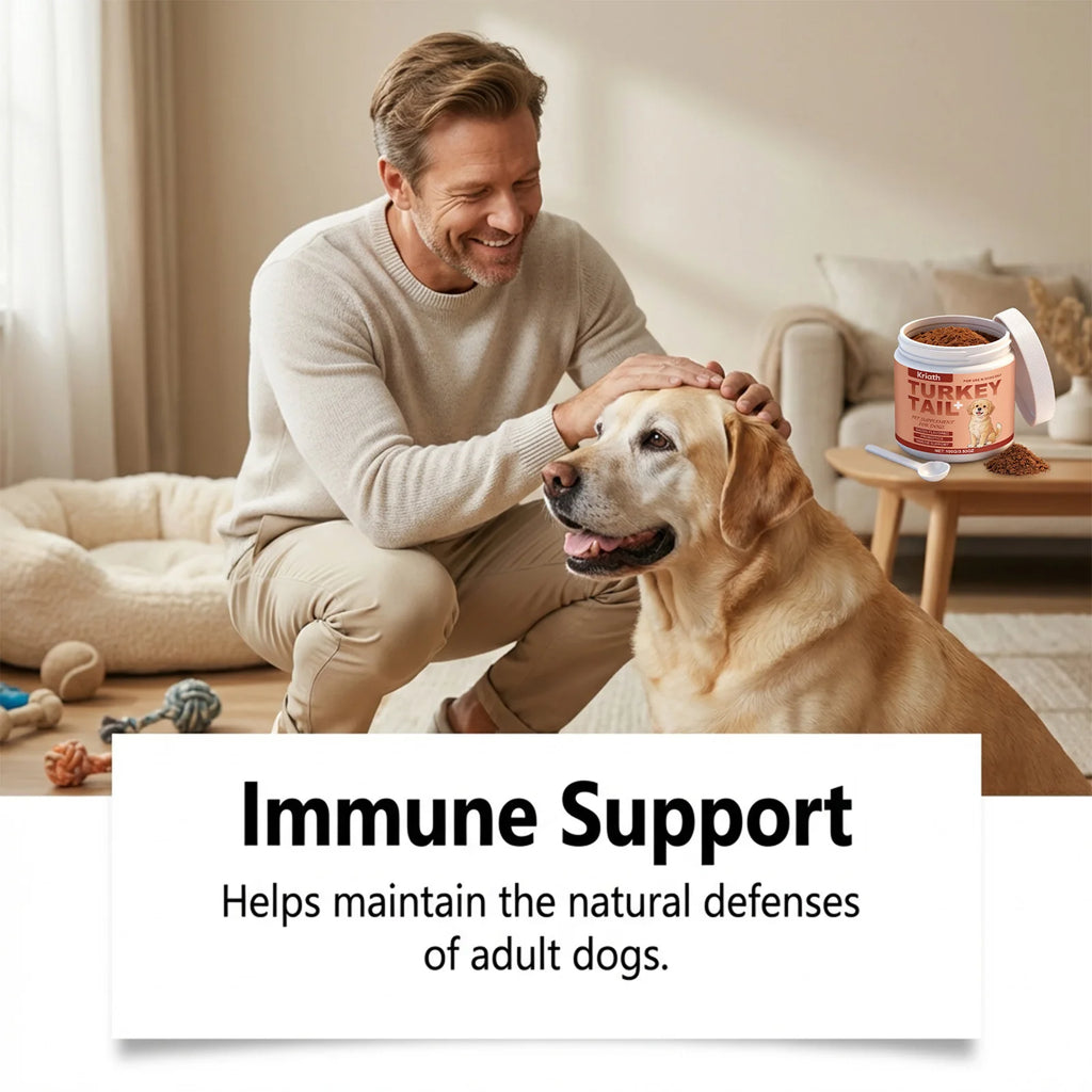 Dog Nutrition Health Supplement Powder Improve Pet Vitality Balance Intestinal Flora Skin Coat Wellness Boost Body Defense 100g