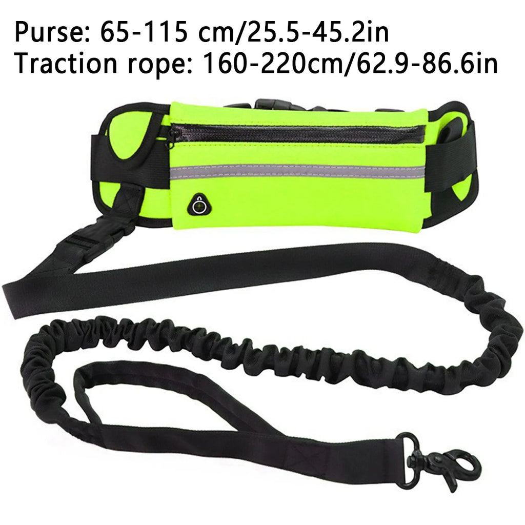 Adjustable Hands-Free Bungee Dog Leash