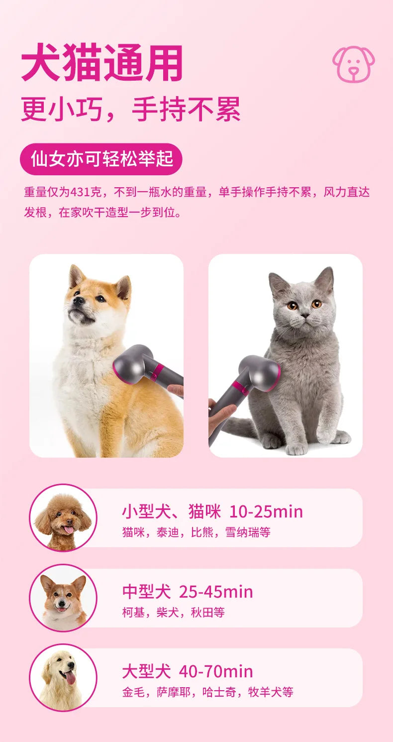 Pet Hair Dryer Dog Grooming Golden Retriever Hairdressing Dog