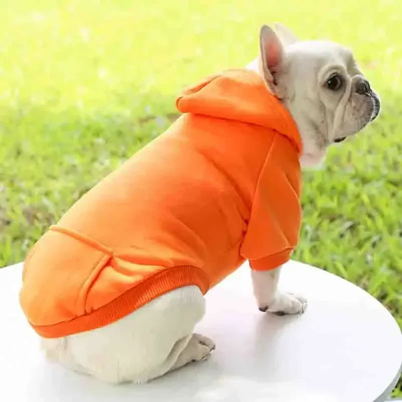 Autumn Winter Pet Dog Hoodies Warm Coat Sweater Small Medium Dog