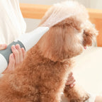 3In1 Pet Dog Dryer Quiet Dog Hair Dryers and Comb Brush Grooming