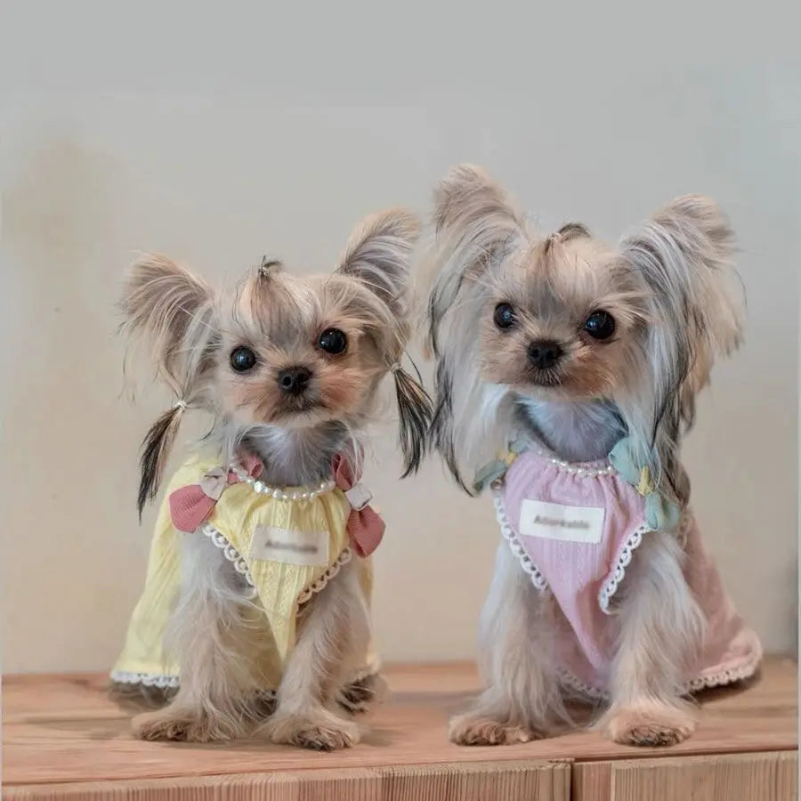 Pet Spring and Autumn Ice Cream Sleepwear Small Dog Teddy Clothing