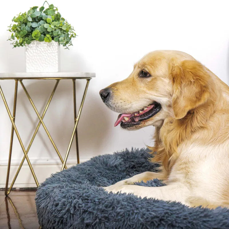 Super Soft Pet Dog Cat Bed Plush Full Size Washable Calm Bed Donut