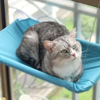 20Kg Capacity Cat Hammock with Rock Climbing Frame Comfortable