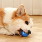 Pet Toy Ball Automatic Moving Dog Toy Ball Smart Usb Jumping