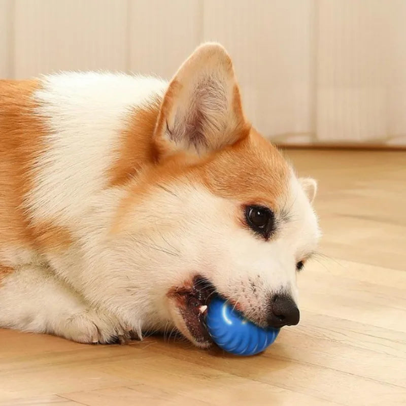 Pet Toy Ball Automatic Moving Dog Toy Ball Smart Usb Jumping