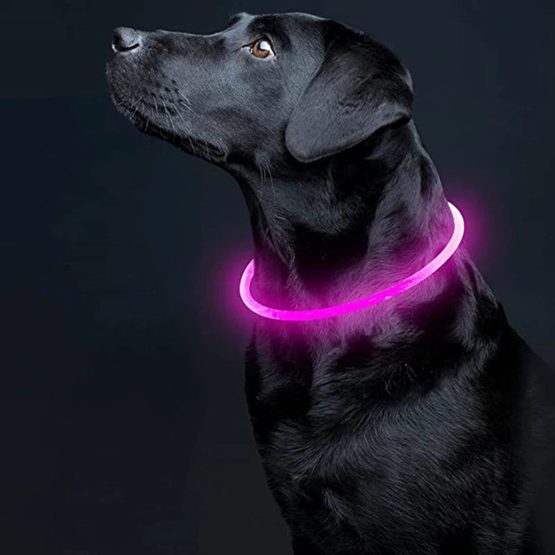 USB Rechargeable Fiber Optic Collar Pet Dog LED Light Collar