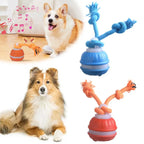 Pet Ball Interactive Toys for Dogs Motion Activate Rolling Ball
