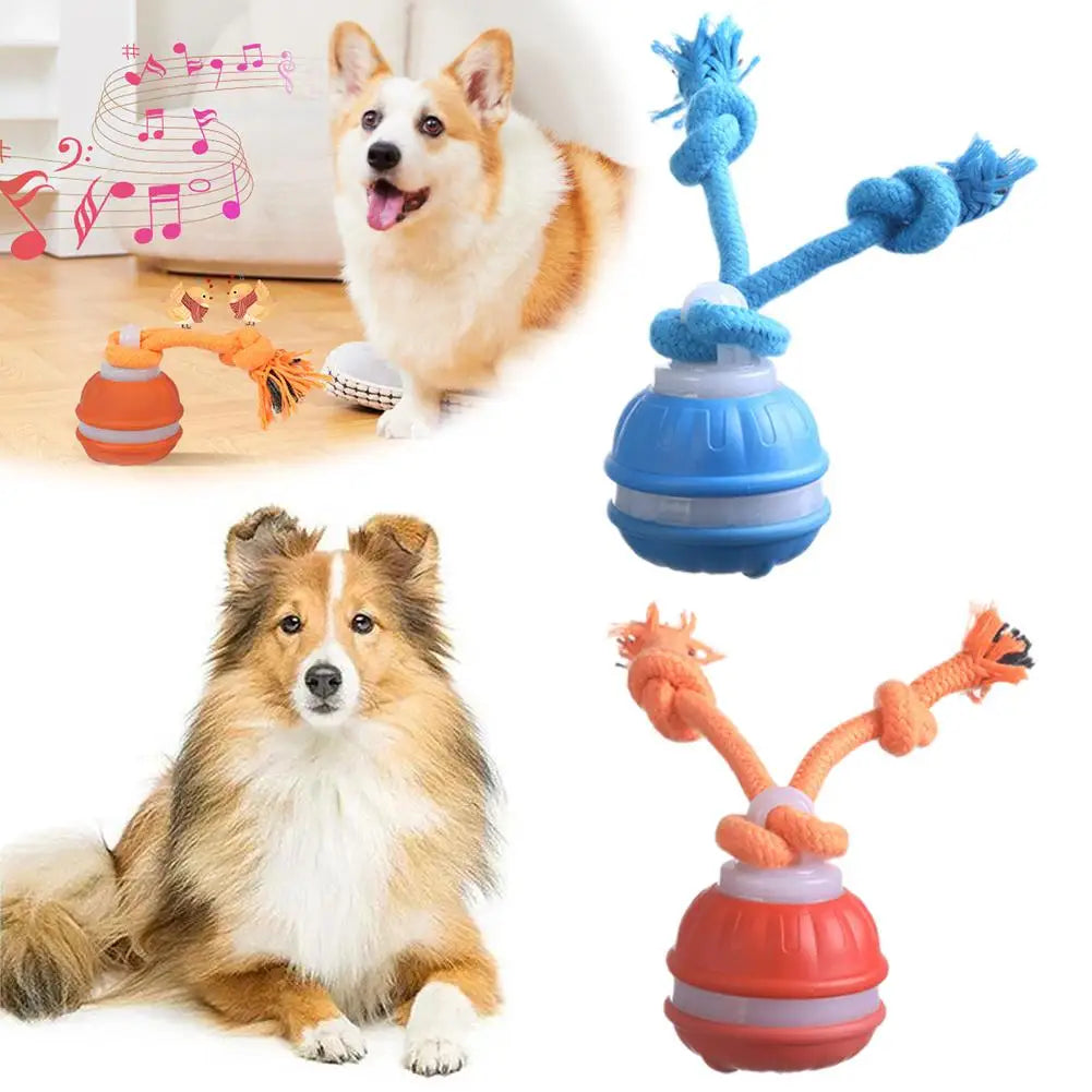 Pet Ball Interactive Toys for Dogs Motion Activate Rolling Ball